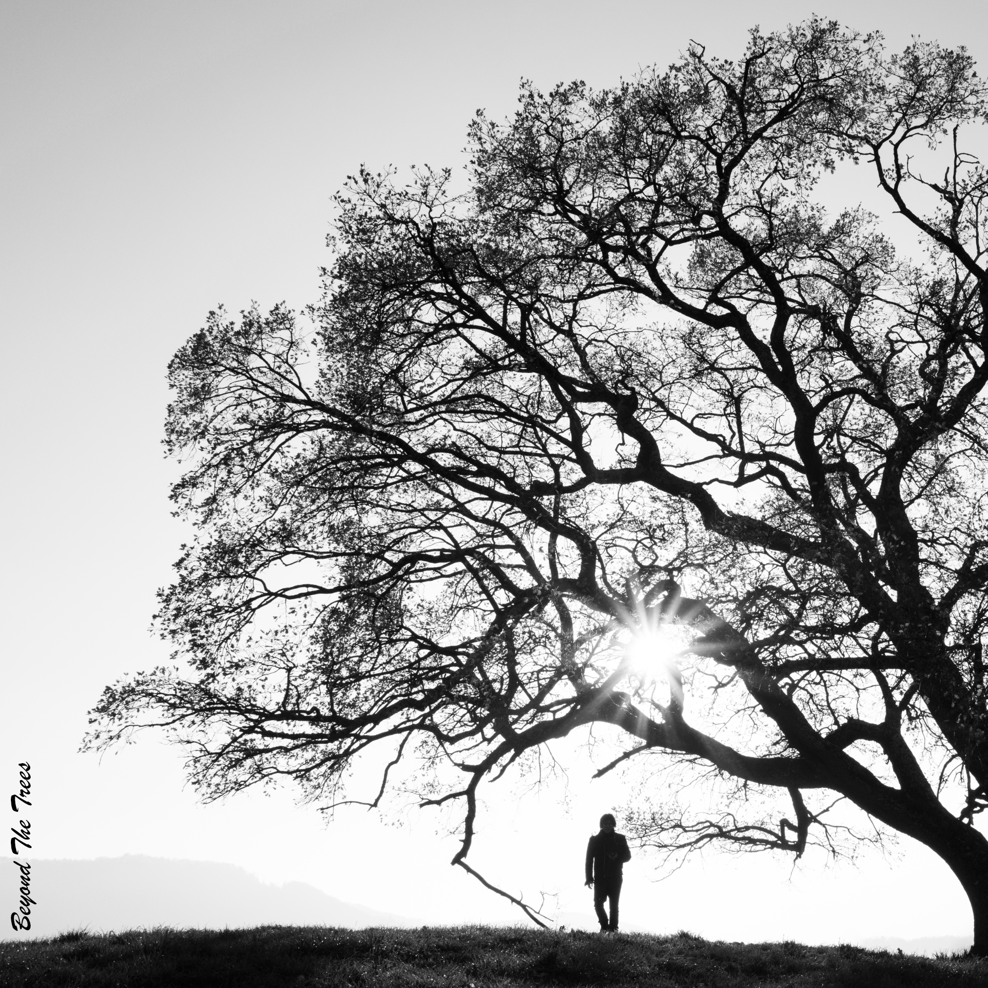 Beyond the Trees, single cover